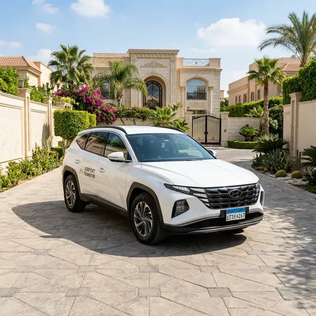 توسان / اسبتورتاج gallery image 1