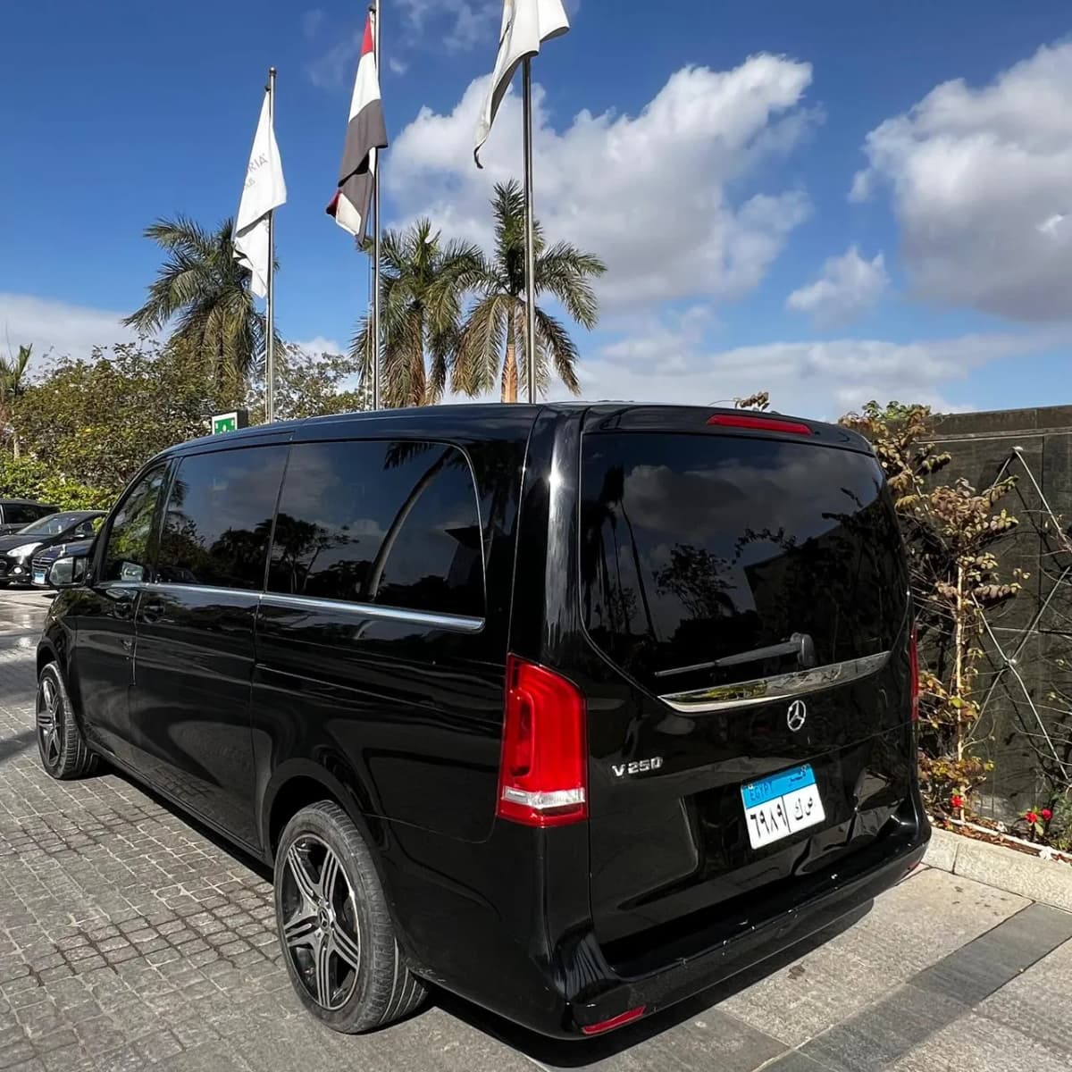 مرسيدس فيانو / في كلاس gallery image 8